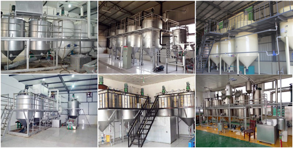 small scale edible oil refinery plant 