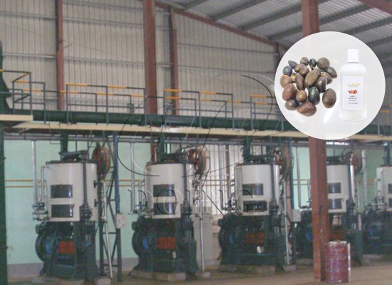 Palm kernel oil processing machine