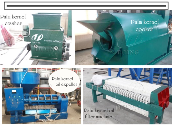 Palm kernel oil processing machine