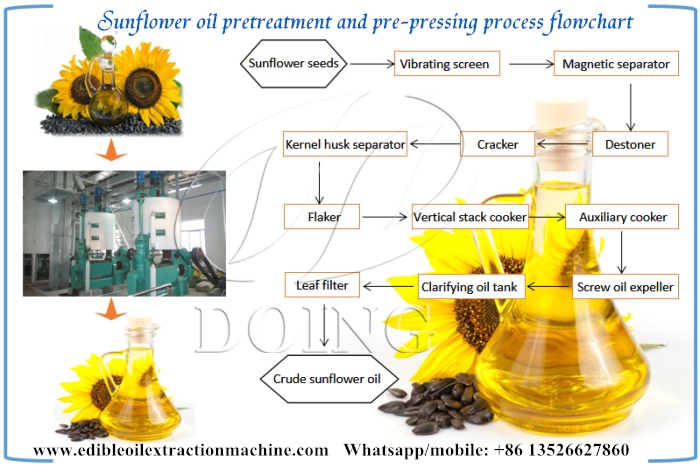 Production process of cold pressed sunflower oil  Pretreatment section.jpg