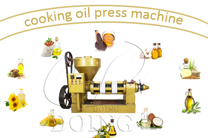 Rice bran oil press machine photo