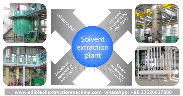 Rice bran oil solvent extraction equipment