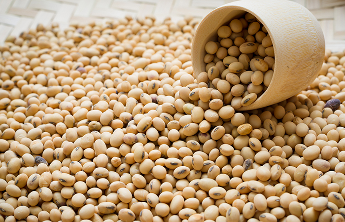 Soybean raw material