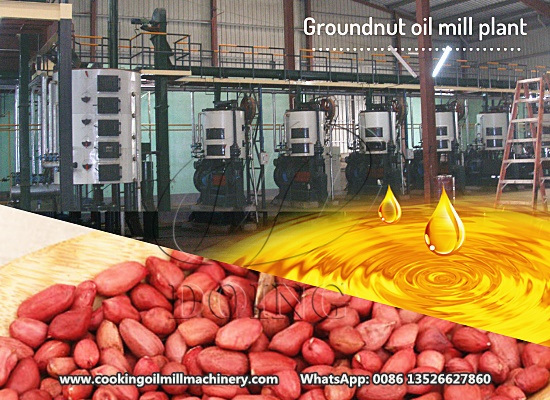 Peanut oil making factory 