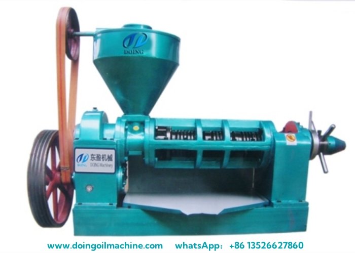 YZYX70 cooking oil extraction machine.jpg