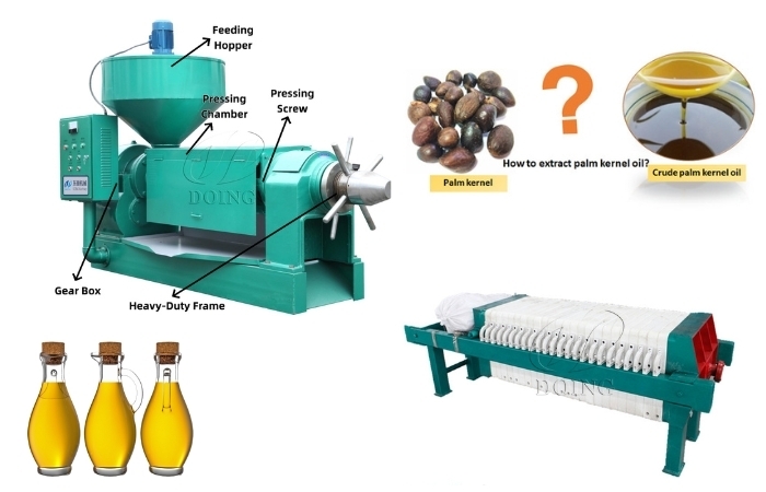 palm kernel oil presser and filter