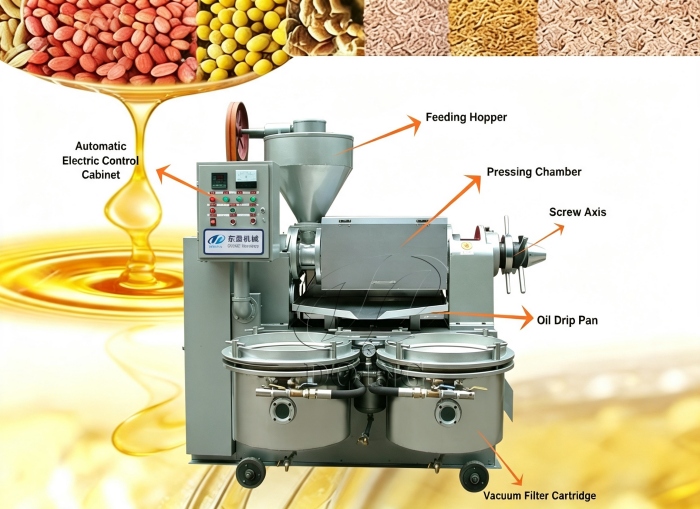 Peanut oil press machine with filter