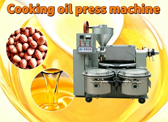 From peanut farm to oil production: A 3TPD peanut oil press machine with filter for Nigeria