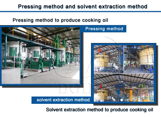 Which oil seeds are suitable for pre-pressing and solvent extraction process?
