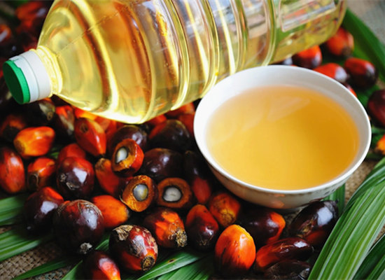 What can palm oil be used for?
