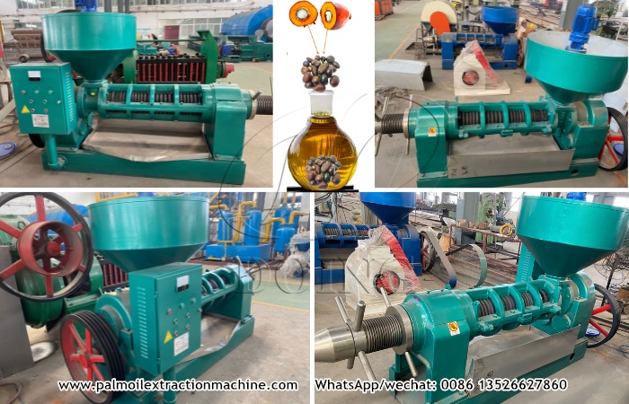 Small palm kernel oil expller machine