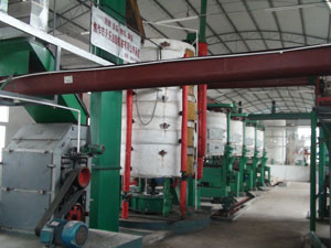 Sunflower Seed Pretreatment/ Press Equipment