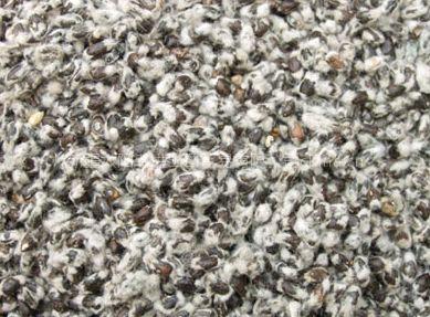 Cottonseed