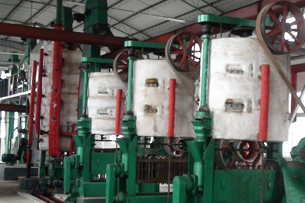 Corn Oil Pretreatment/pressing Machine