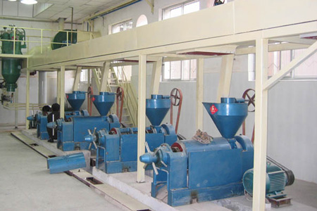 Oil press machine