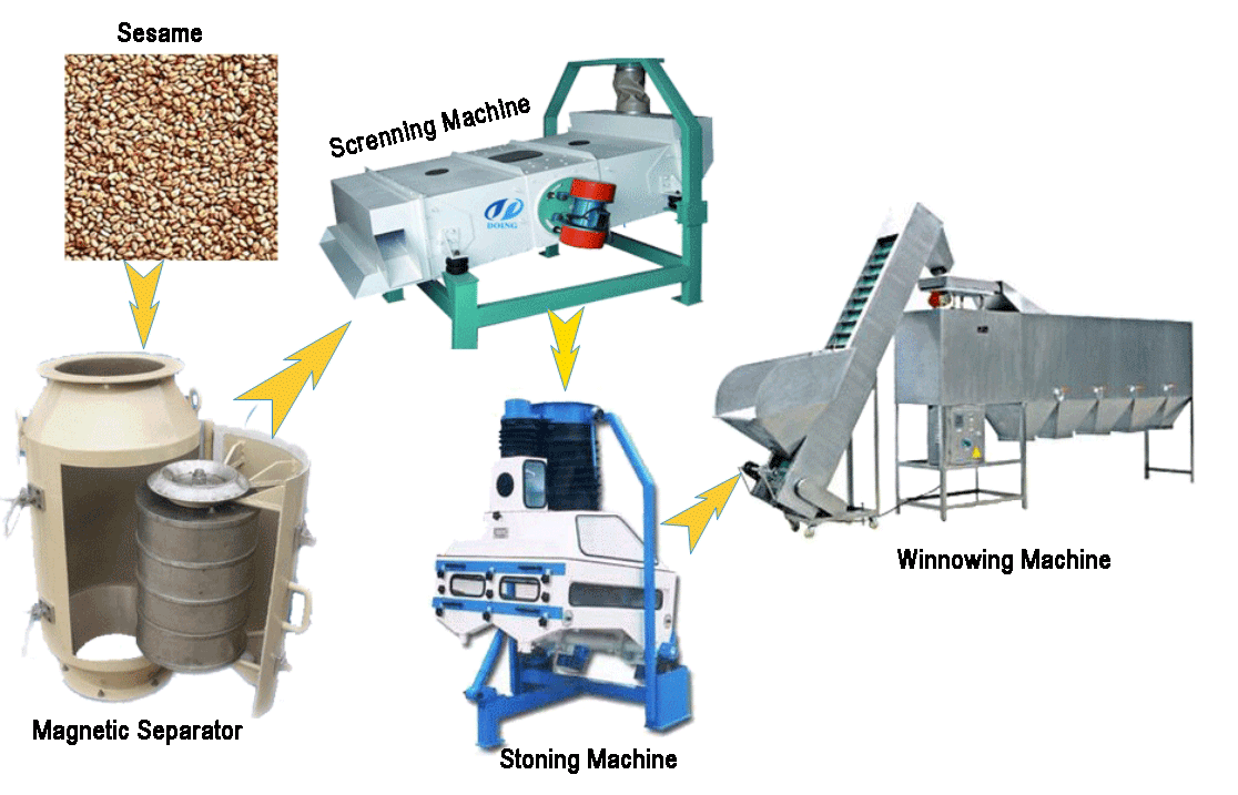 sesame oil extraction machine