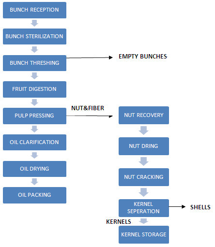 how is palm oil made