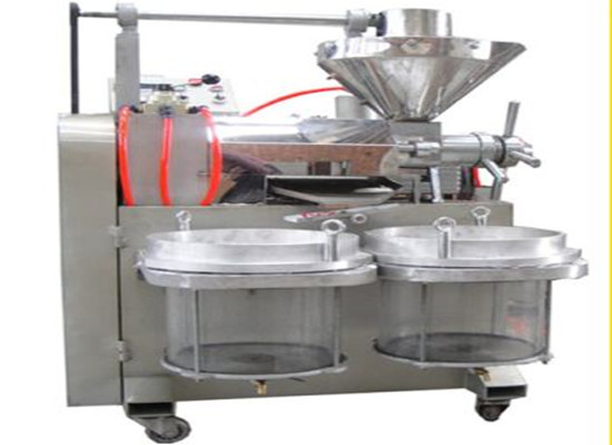 the screw oil press machine