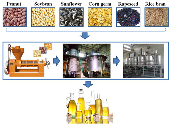 soybean oil mill plant