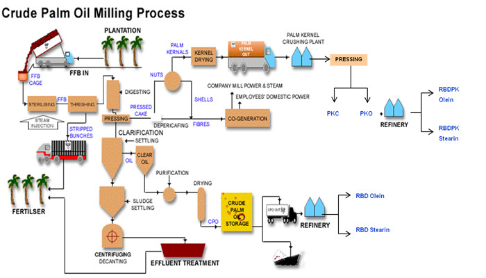 palm kernel oil extraction process