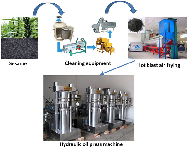 sesame  oil extraction machine process