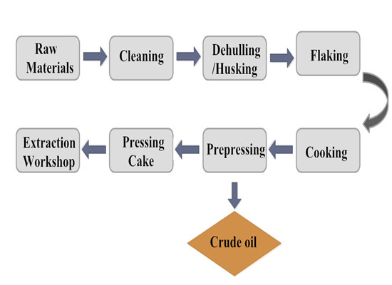 cottonseed oil pretreatment and pressing process