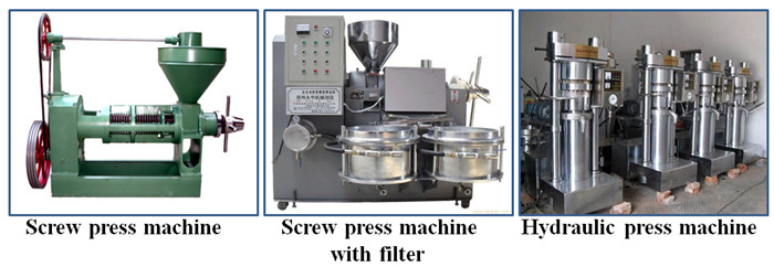 rapeseed oil press machine