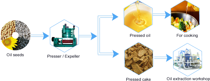 sunflower oil pressing machine