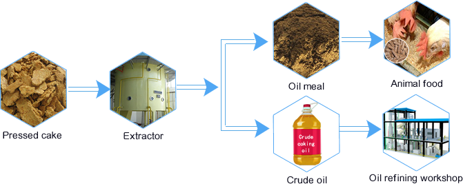 sunflower oil extraction machine