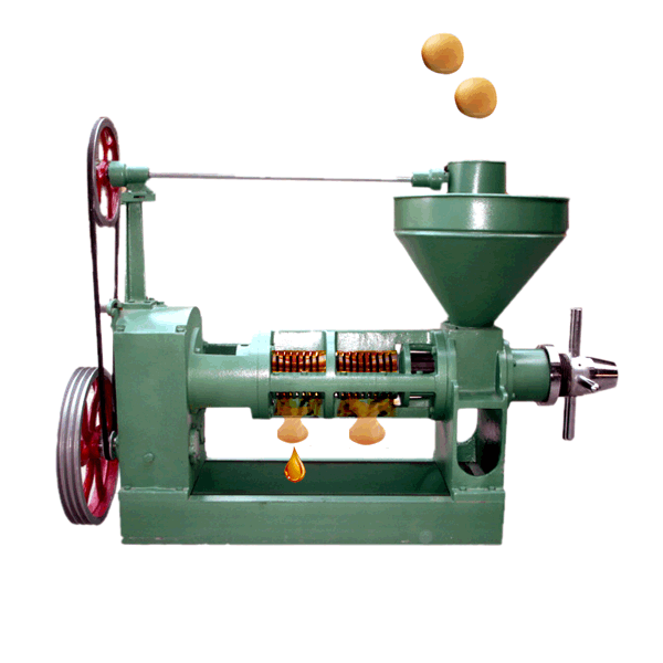 soybean screw oil press machine