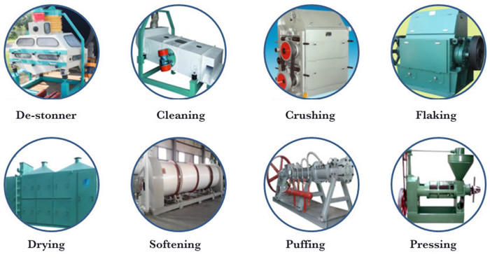 oilseed processing machine