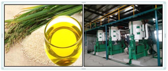 rice bran oil production 