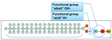 saponification reaction