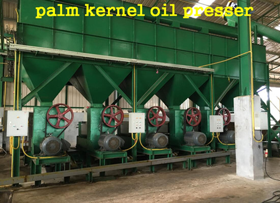 palm kernel oil presser