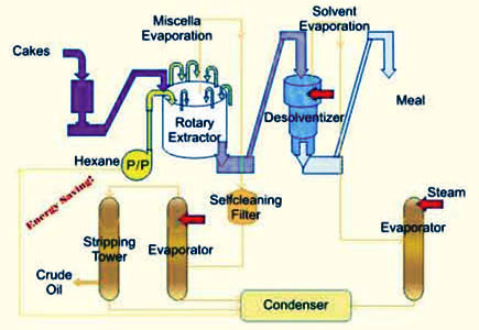 edible oil solvent extraction process