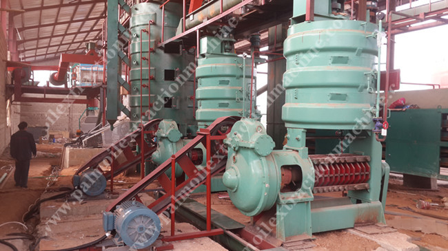 palm kernel oil extraction machine