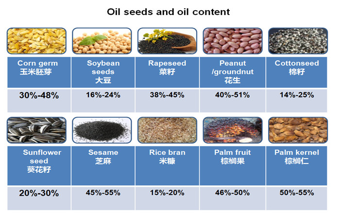 oilseeds and oil content 