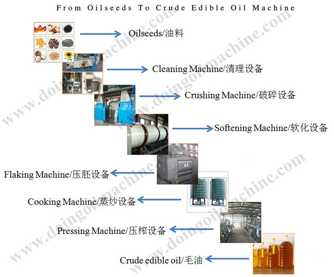rice bran oil making machine 