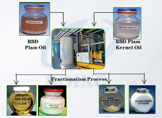 palm oil fractionation plant 