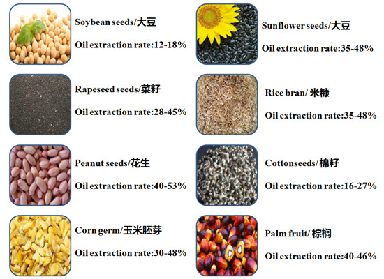 oil seeds