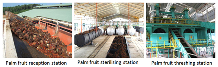 palm oil processing plant 