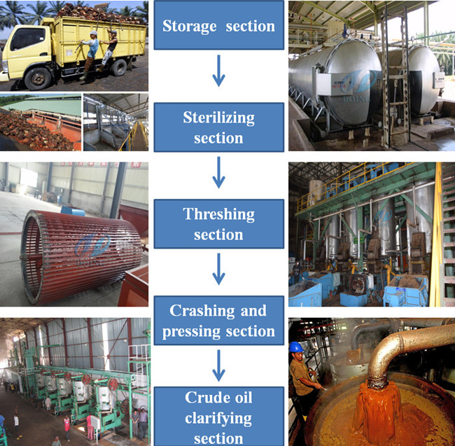 palm oil extraction process machinery