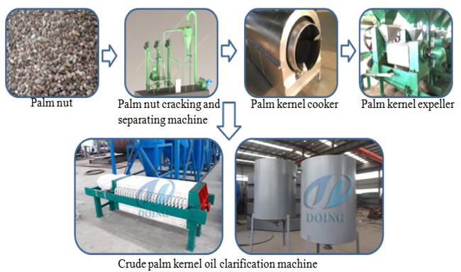 palm kernel oil extraction machine