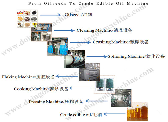oil pressing line
