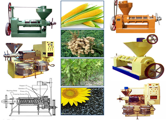 mini cooking oil pressing machinery