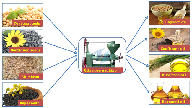 screw oil press machine