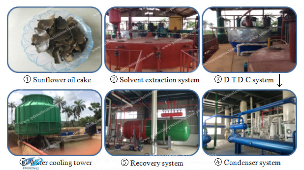 solvent extraction plant