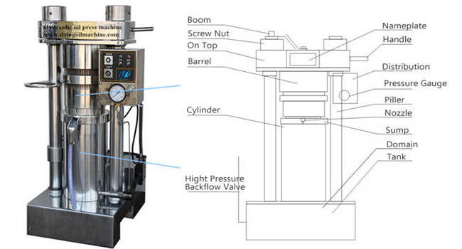 hydraulic sesame oil press machine