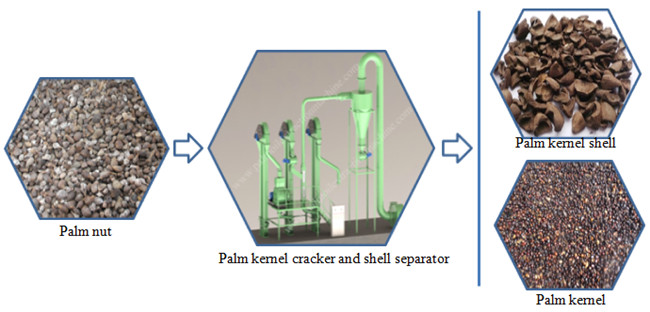 palm kernel cracaking and separating machine 