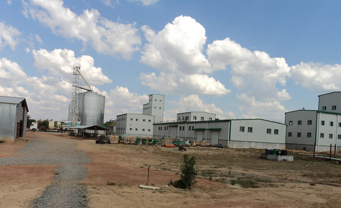 palm oil refinery plant 